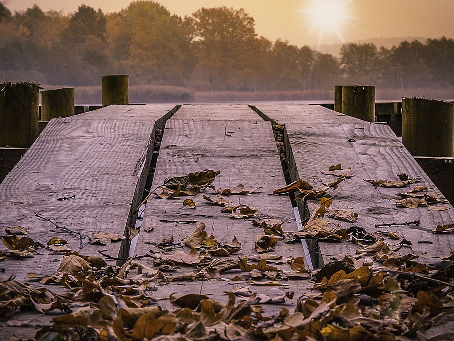 Web, Lake, Sunrise, Boot, Pond, Dock, autumn, nature, jetty HD wallpaper