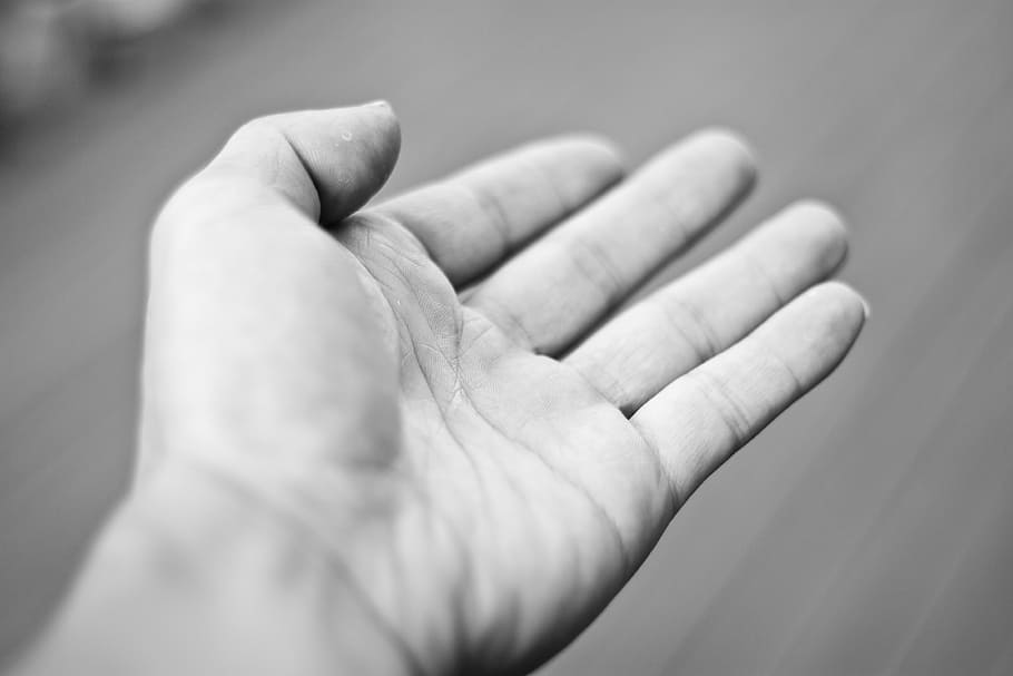 grayscale photography of left person's hand, no, five, wu, human hand HD wallpaper