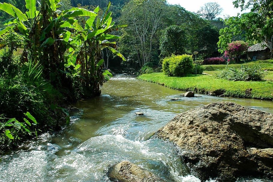 River, Landscape, Flow, Water, river landscape, nature, outdoors HD wallpaper