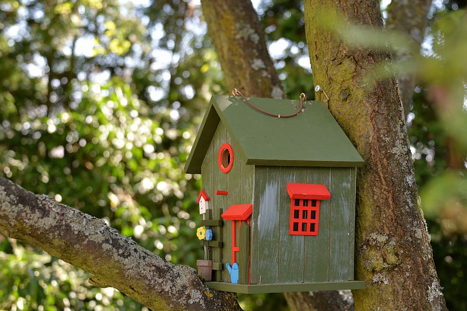 800x600px | free download | HD wallpaper: gray birdhouse on tree branch, aviary, colorful, bird feeder | Wallpaper Flare