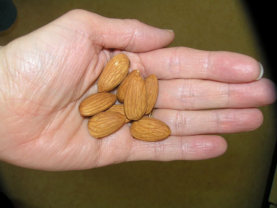 person holding almond nuts, Almonds, Hand, handful, human hand HD wallpaper