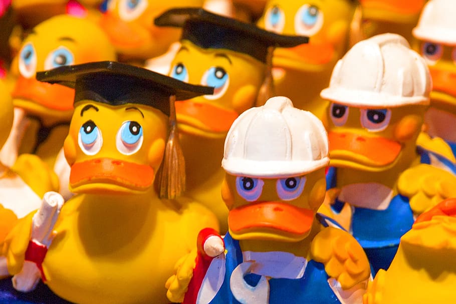 bath duck, rubber duckies, plastic, quietscheente, toys, toy duck HD wallpaper