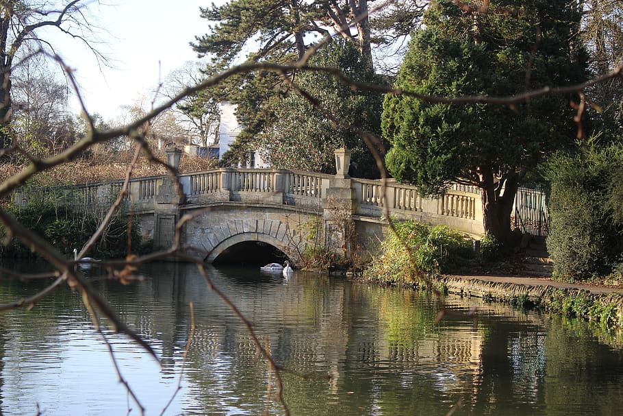 water, tree, reflection, river, nature, bridge, lake, stone HD wallpaper