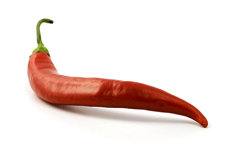 shallow focus photography of red chili, chili pepper, burn HD wallpaper