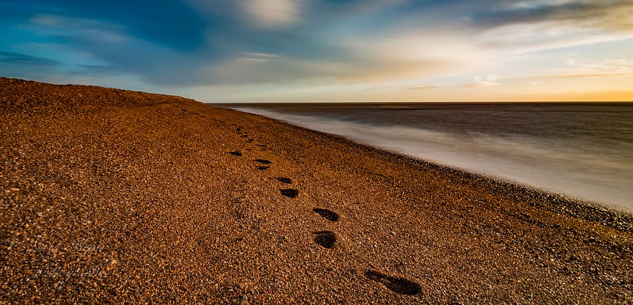 Not alone, brown shore beside body of water, prints, footprints HD wallpaper