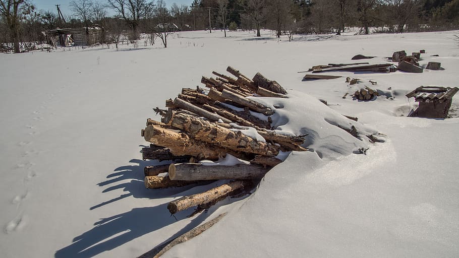 wood, pile, snow, shadow, exclusion zone, winter, nature, landscape