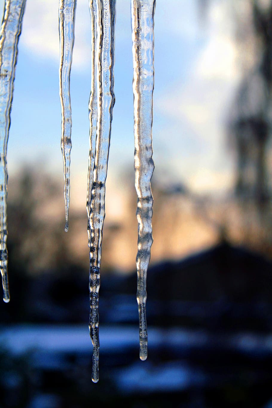 icicles, cold, winter, ice, ze, cold temperature, frozen, focus on foreground HD wallpaper