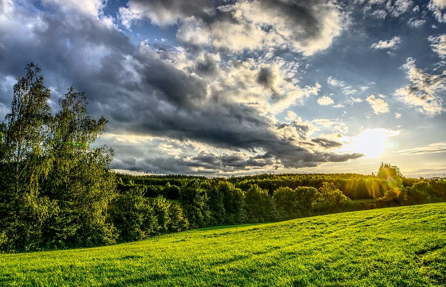green grass field near green leaf trees during daytime, sunset HD wallpaper