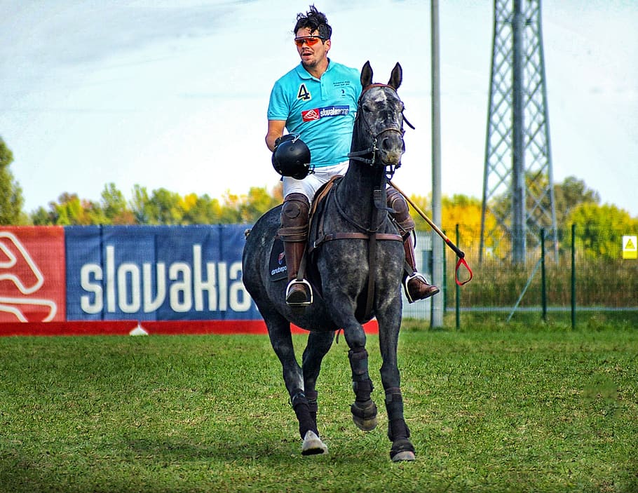 horse polo, sports, competition, animal, ride, rider, tournament