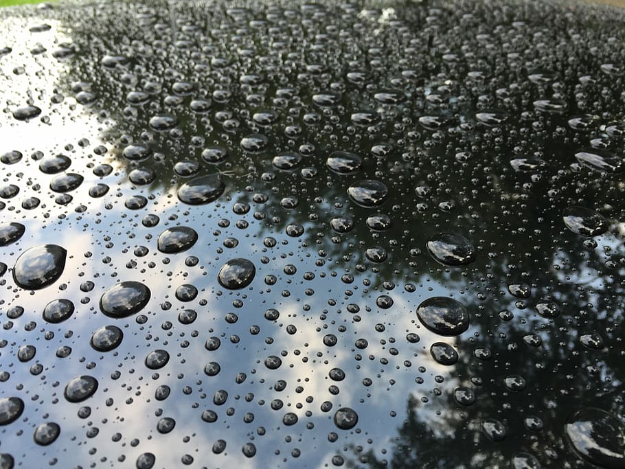 Rain, Drop, Nature, Raindrops, Wet, lighting, drop of water HD wallpaper