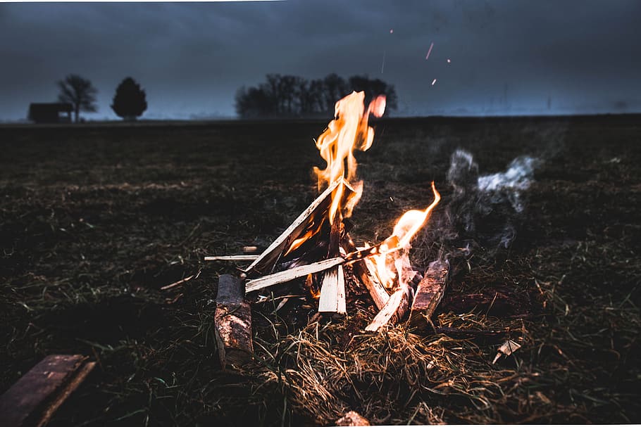 Fire, bonfire during nighttime, campfire, burn, flame, log, fire - Natural Phenomenon HD wallpaper