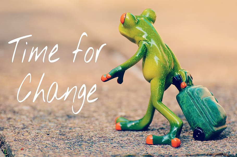 green frog holding luggage figurine, time for a change, courage