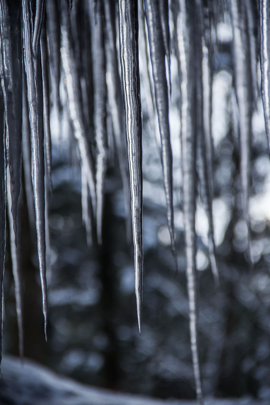 winter, icicle, ice, cold, snow, close-up, tree, no people HD wallpaper