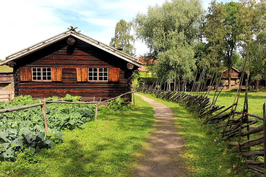 wooden house beside road, oslo, norway, folk museum, city, summer