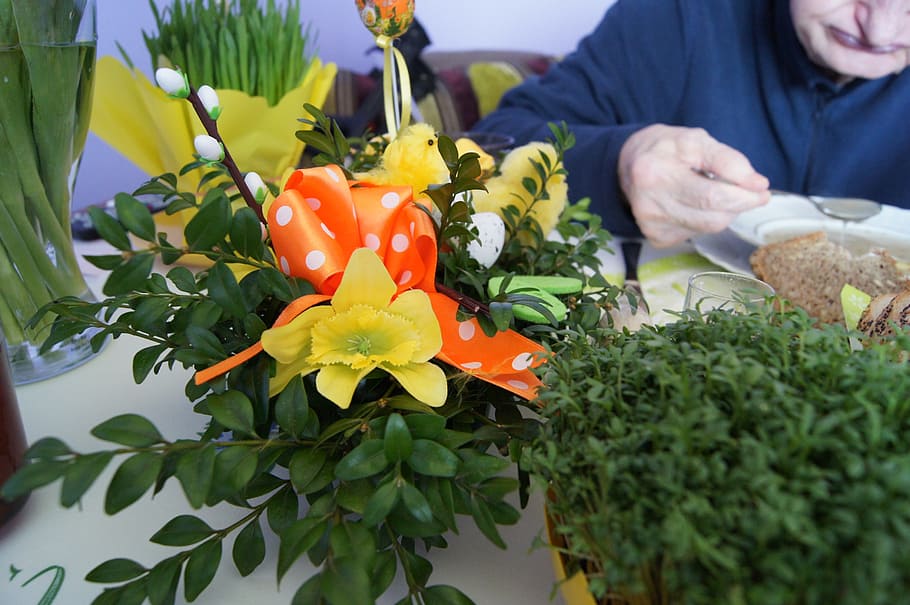 old age, easter, holidays, decoration, breakfast, twigs, foliage HD wallpaper