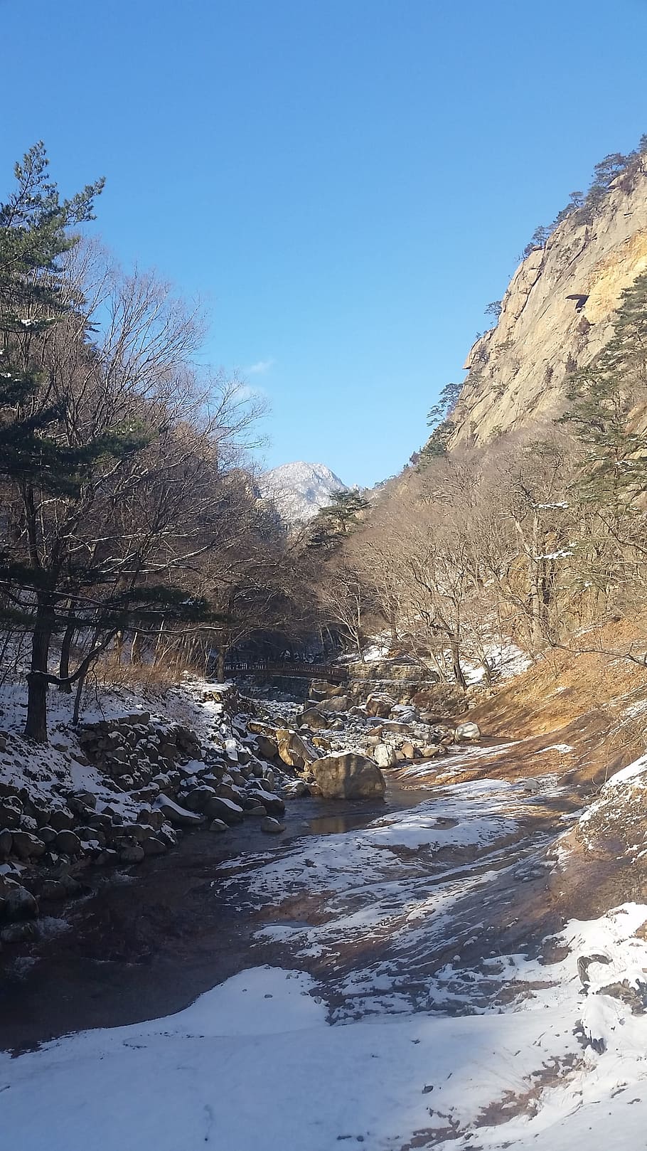 Winter, Landscape, Scenery, Travel, snow mountain, gangwon do, HD wallpaper