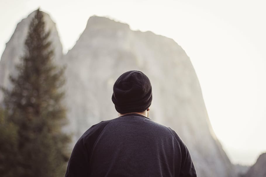 low angle view of man watching mountain, people, trees, leaves HD wallpaper