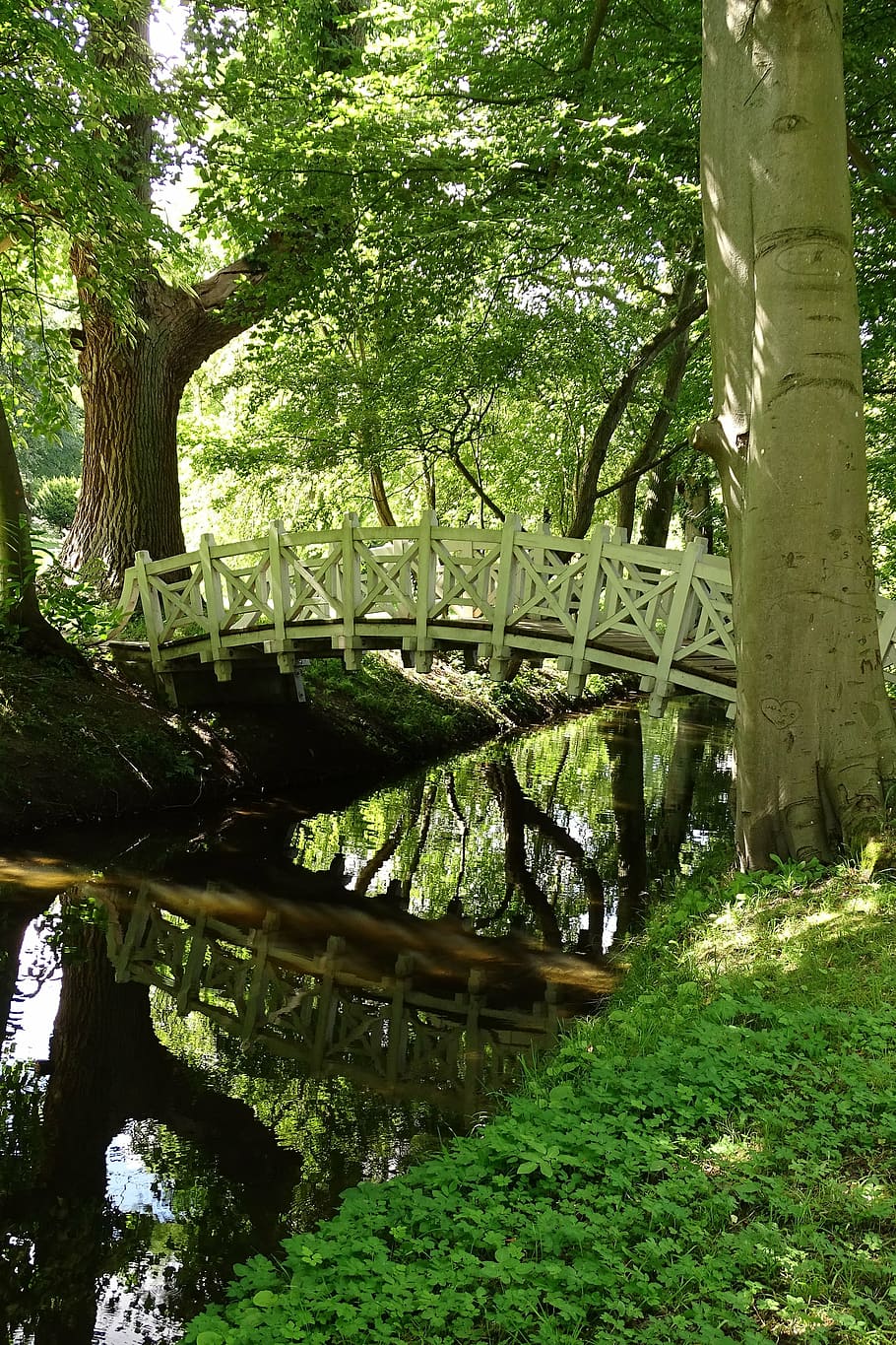 bridge, forest, nature, old, forest path, mirroring, scenic HD wallpaper