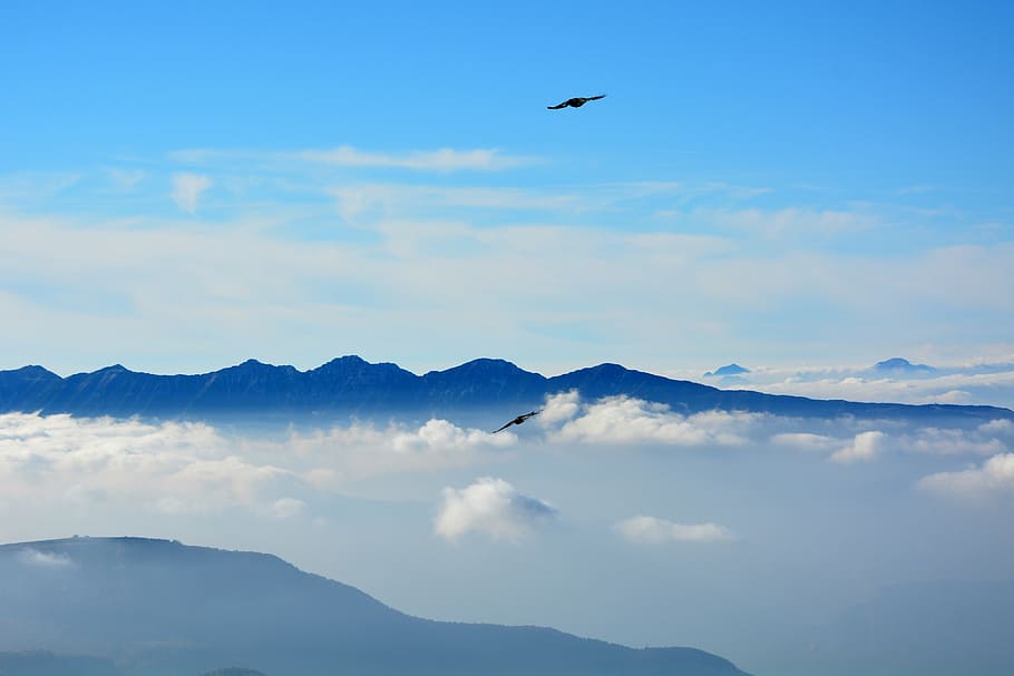 fly, clouds, mountains, sky, bird, nature, scenics, flying HD wallpaper