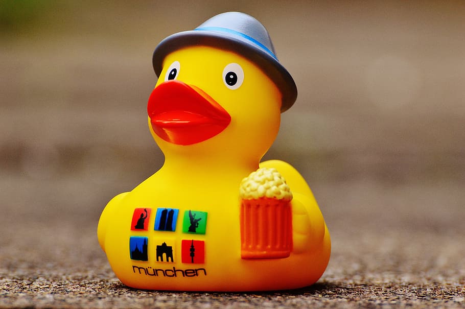 yellow rubbery duck, munich, beer, bath duck, toys, rubber duck, HD wallpaper