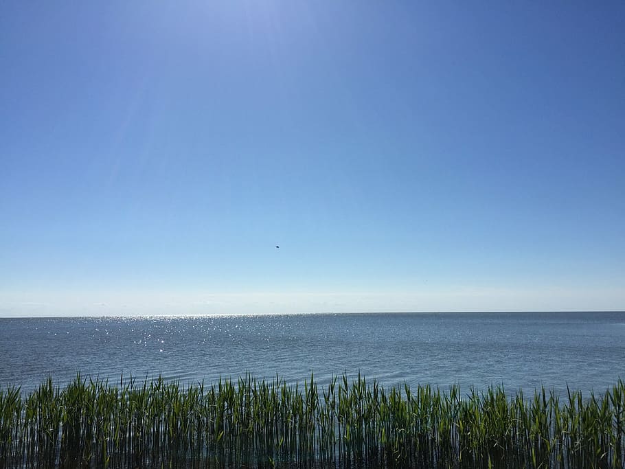 nida, lithuania, water, ocean, beach, summer, nature, glance HD wallpaper