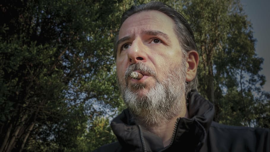 man, portrait, cigar, self portrait, smoker, beard, facial hair HD wallpaper