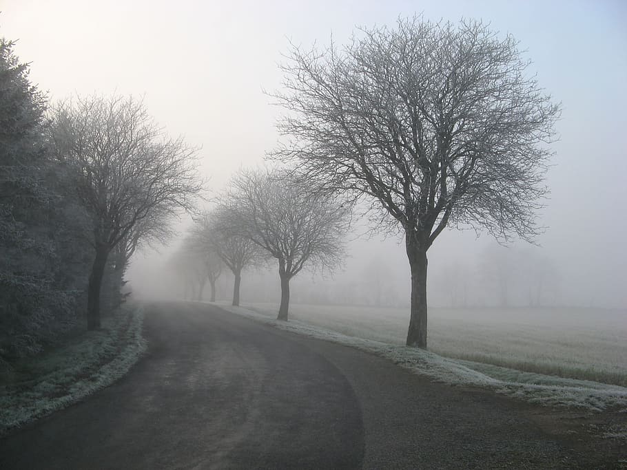 cold, snow, road, landscape, alone, countryside, fog, foggy, frost