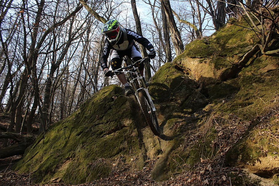 Round, Downhill, Forest, Rock, Cyclist, mtb, low angle view HD wallpaper