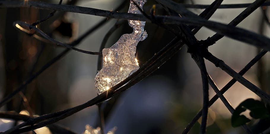 closeup photo of black framed string lights, snow, ice, forest HD wallpaper