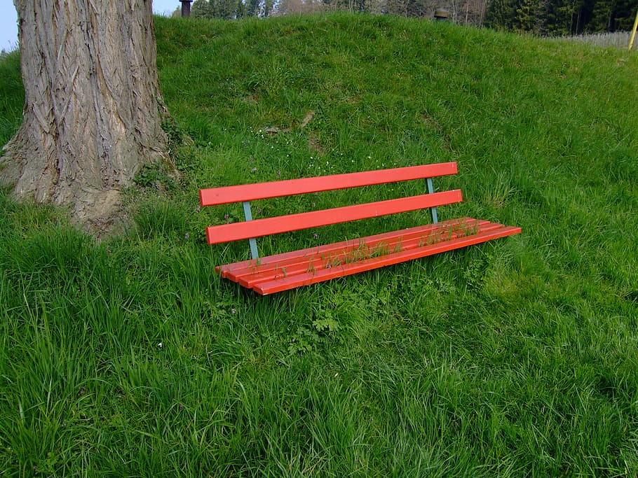 bench, rest, nature, outdoors, grass, park - Man Made Space HD wallpaper