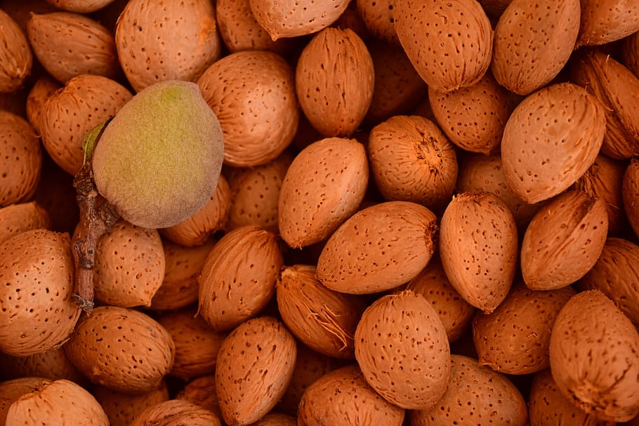 almonds, background, shell, fruits, structure, eat, nature HD wallpaper