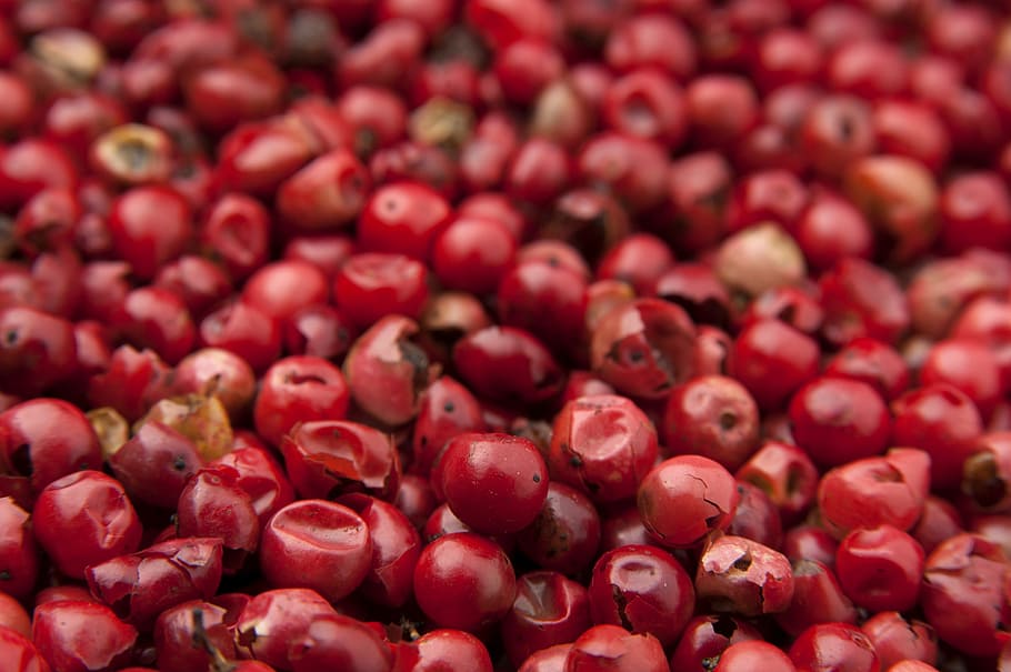 selective focus photography of red cherries, Goji, Berry, Seasoning, HD wallpaper