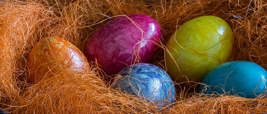 Easter Eggs, Holiday, Spring, celebration, color, decoration HD wallpaper