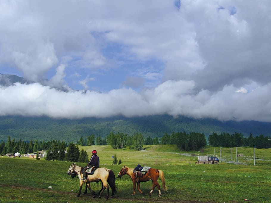 China, Xinjiang Herdsmen Transition, the scenery, country, horses, HD wallpaper