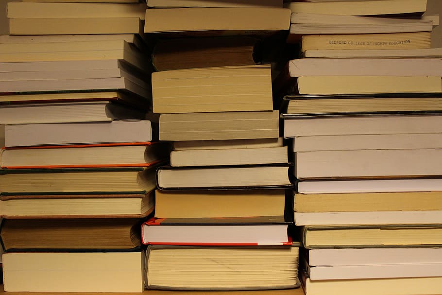 Books, Bookshop, Reading, learning, bookshelf, library, in a row HD wallpaper