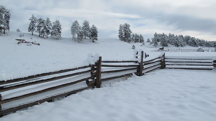 Snow, Fence, Winter, Cold, Nature, landscape, white, frozen HD wallpaper