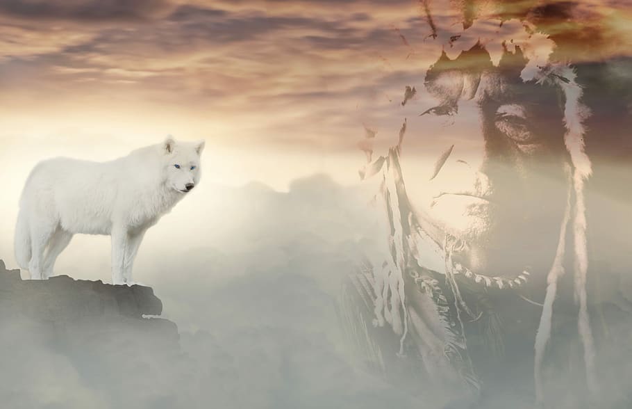 white wolf on cliff, indians, clouds, fantasy, mystical, mysterious, HD wallpaper