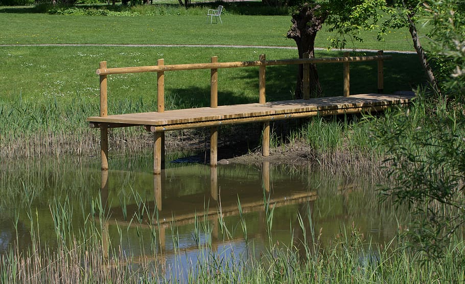 waters, nature, web, boardwalk, grass, wood, lake, reflection HD wallpaper