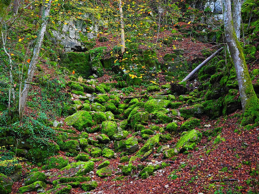 Slope, Stones, waldhang, bemoost, elsachbröller, cave, cave entrance HD wallpaper
