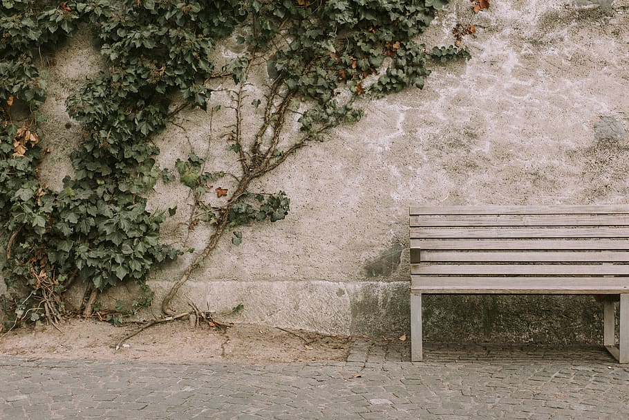 brown wooden bench beside wall, gray wooden bench, park, tree HD wallpaper