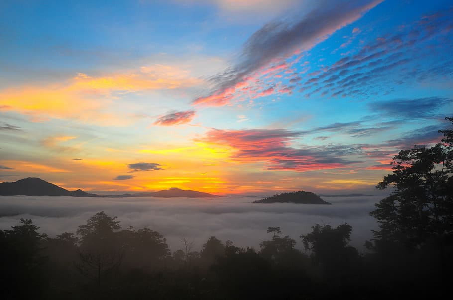sea of clouds during golden hour, sunset, dramatic, view, scenic HD wallpaper