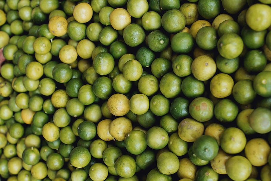 bunch of calamondins, green calamondin lot, fruit, limes, oranges HD wallpaper