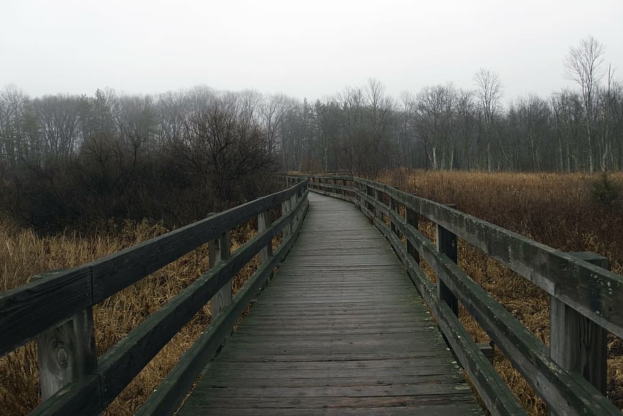 path, walkway, park, outdoor, bridge, landscape, footpath, scene HD wallpaper