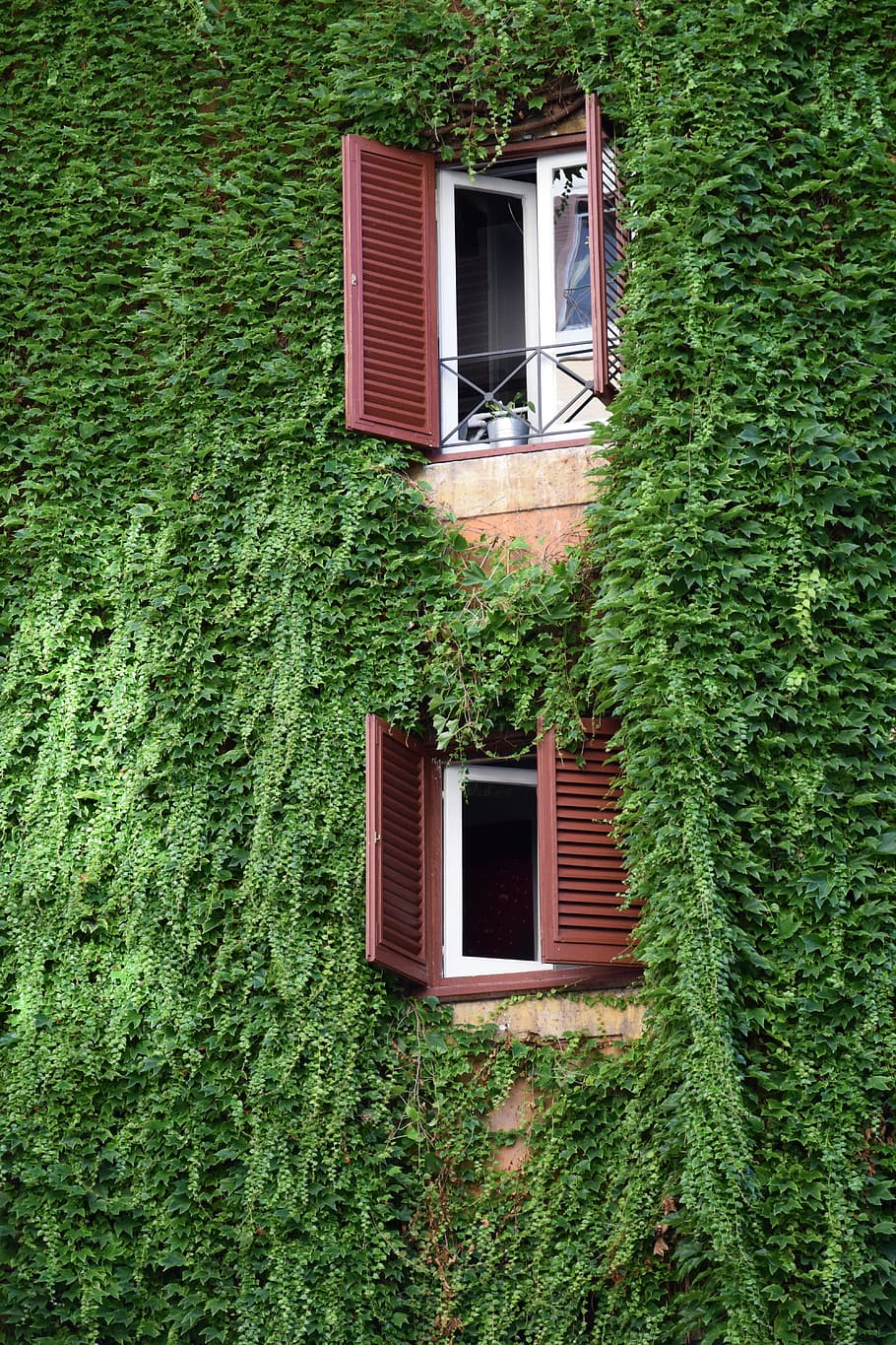 Italy, Windows, summer, green color, building exterior, architecture HD wallpaper