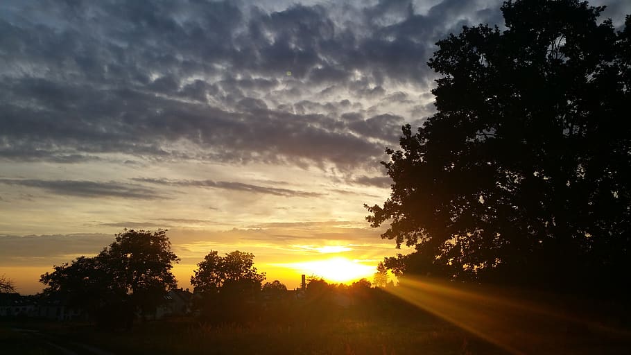 sun set, sunset, nature, sky, tree, plant, cloud - sky, silhouette HD wallpaper