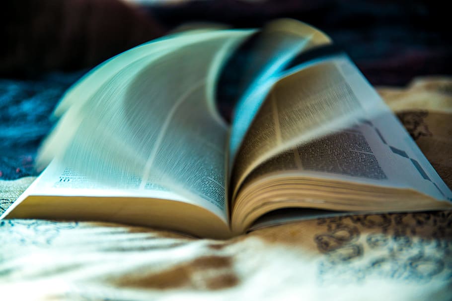 white pages open book, reading, no people, close-up, indoors HD wallpaper