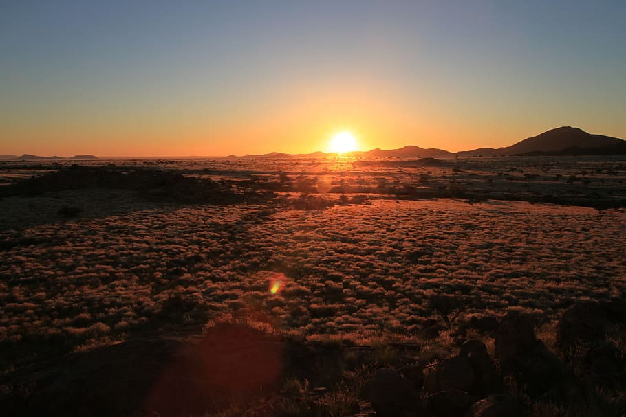 empty field during golden hour, Sunset, Steppe, Veld, Dry, Namibia HD wallpaper