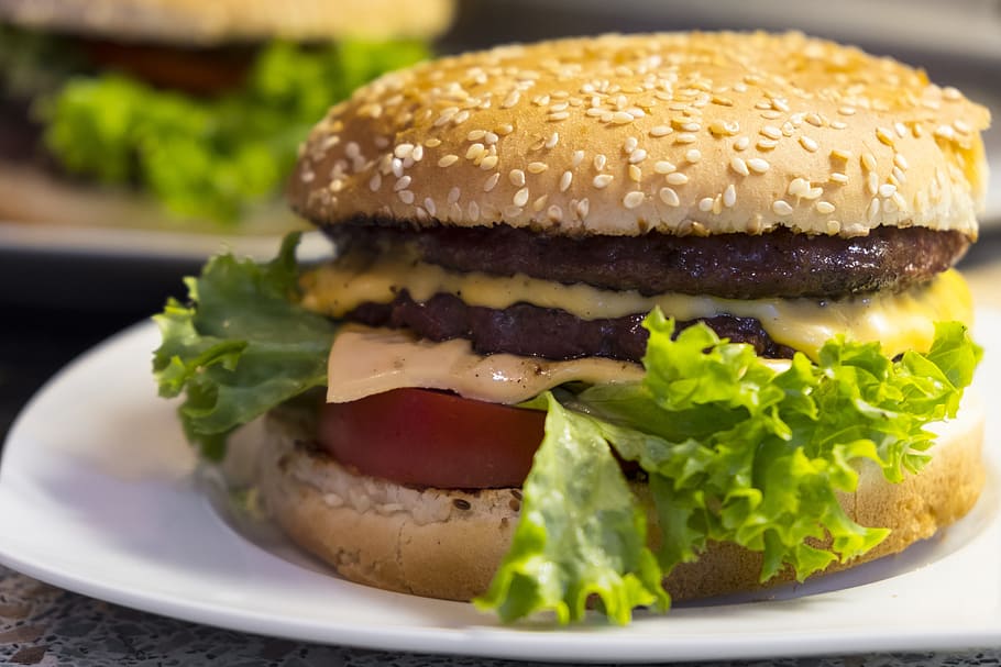 hamburger on plate, cheeseburger, eat, food, nutrition, dine HD wallpaper