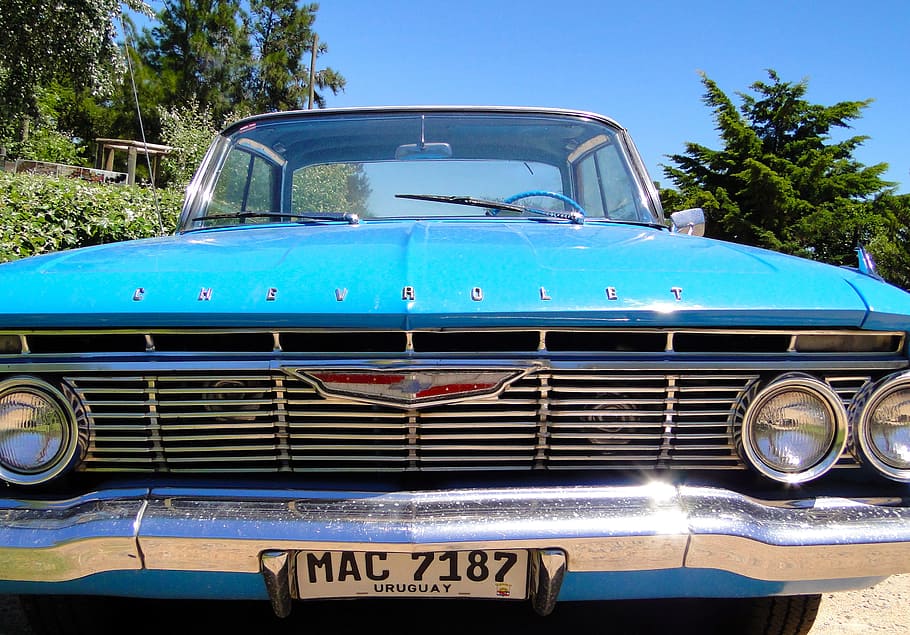 chevy, 60 years, palm tree, headlights, montevideo, mode of transportation HD wallpaper