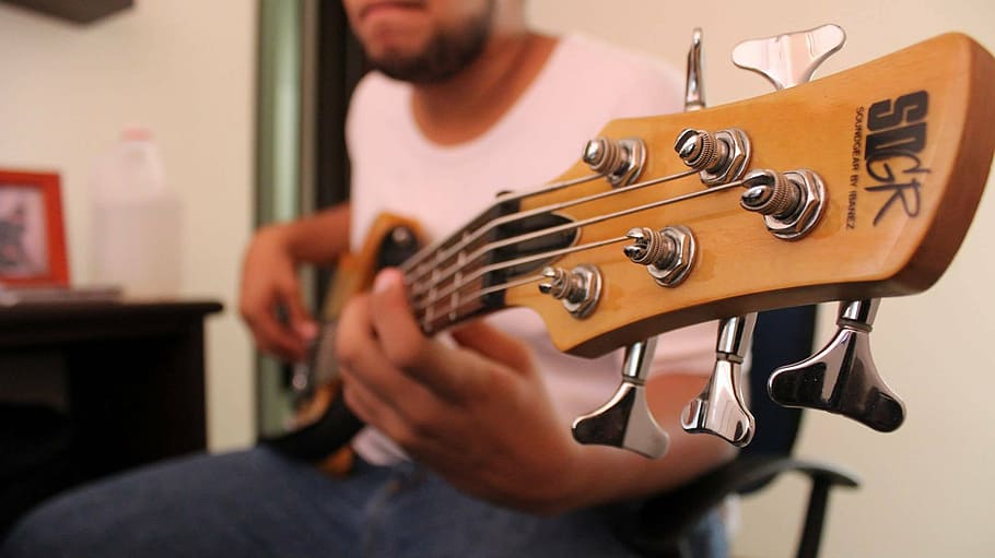 bass, music, strings, string instrument, musical instrument HD wallpaper